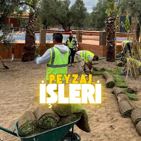 Peyzaj bahçe düzenleme